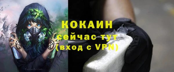 гидра Армянск