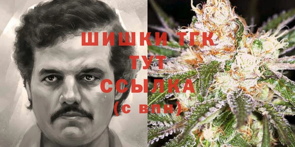 спайс Арсеньев