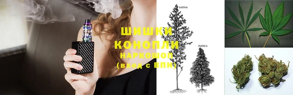 спайс Арсеньев