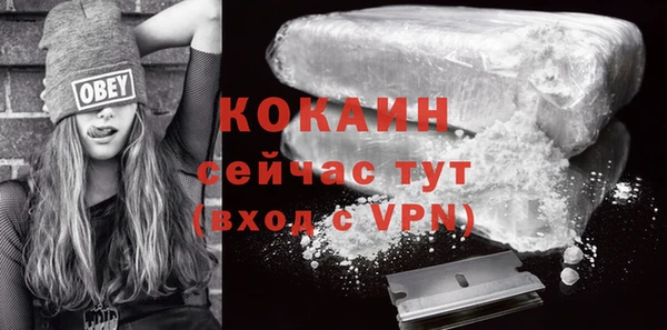 гашик Аркадак