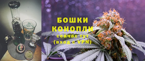 гашик Аркадак