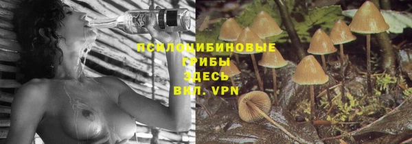 спайс Арсеньев