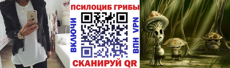 сколько стоит  дарк нет какой сайт  Галлюциногенные грибы Psilocybe  Сычёвка 
